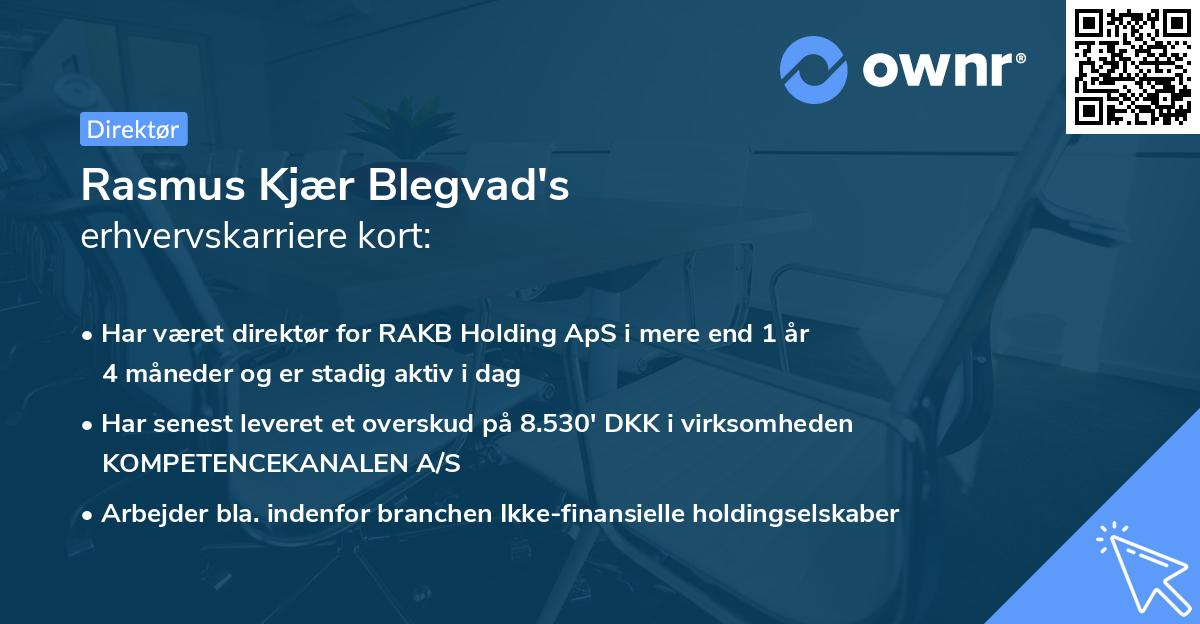 Rasmus Kjær Blegvad's erhvervskarriere kort