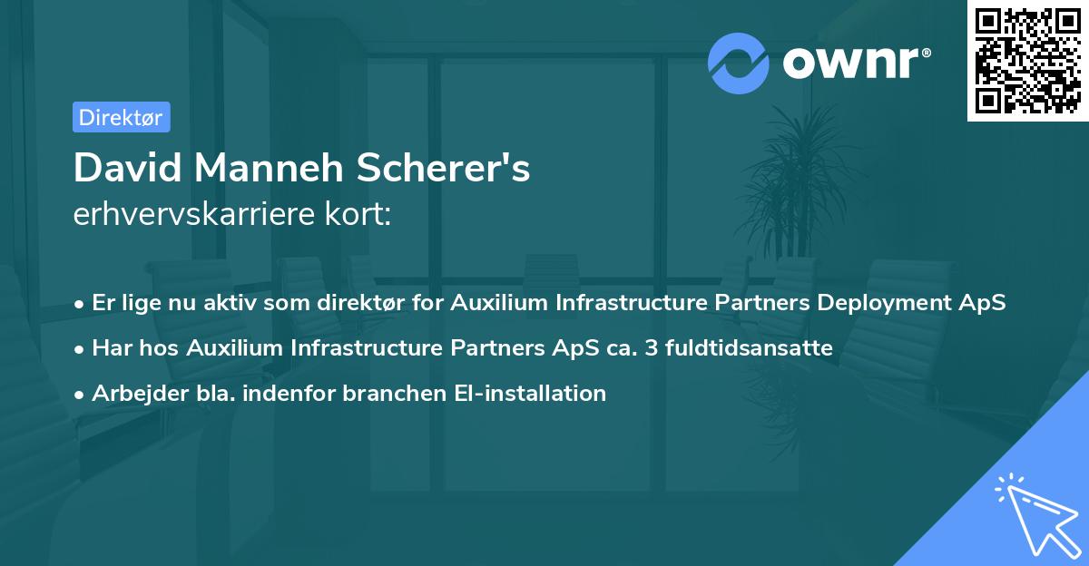 David Manneh Scherer's erhvervskarriere kort