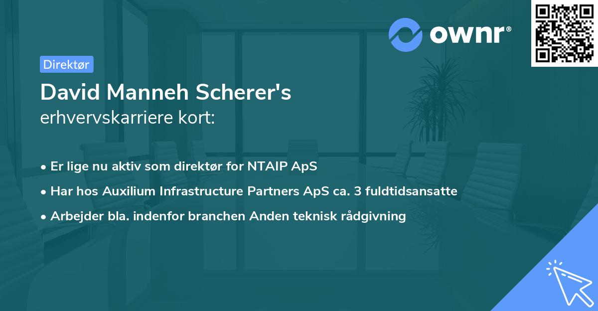 David Manneh Scherer's erhvervskarriere kort
