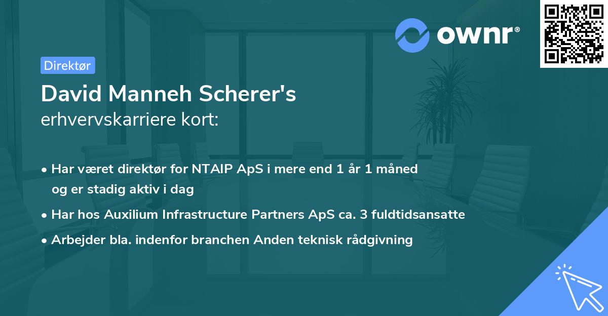 David Manneh Scherer's erhvervskarriere kort