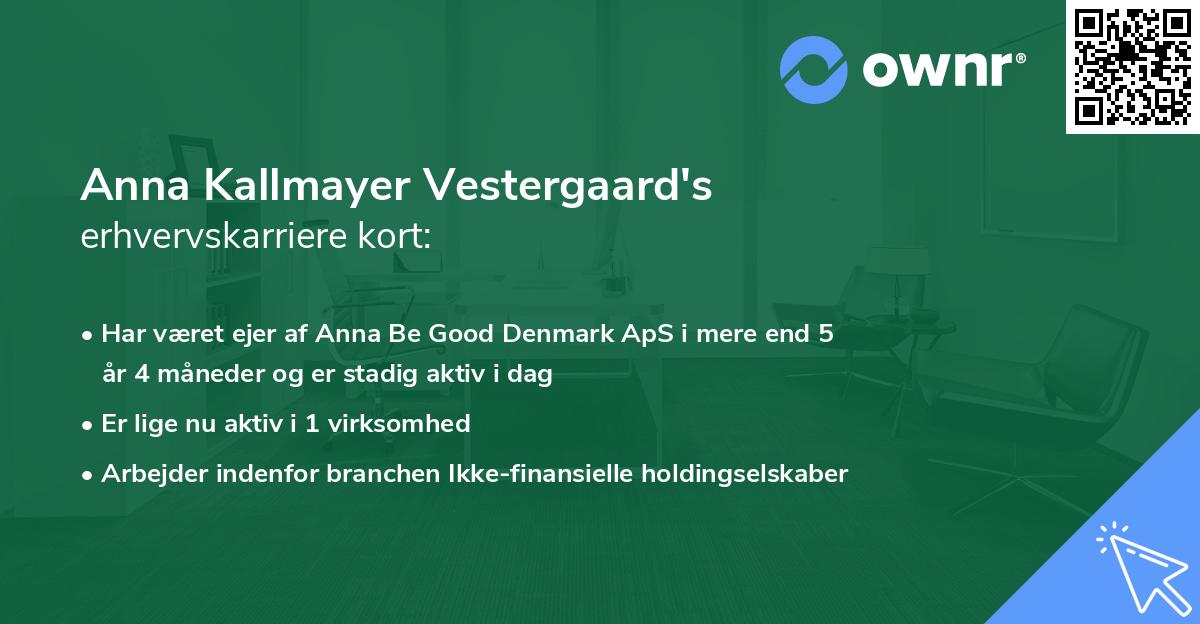 Anna Kallmayer Vestergaard's erhvervskarriere kort