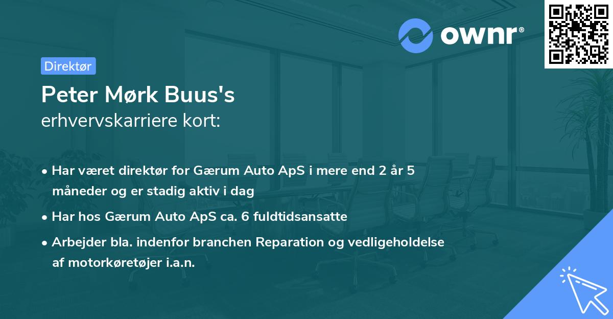Peter Mørk Buus's erhvervskarriere kort