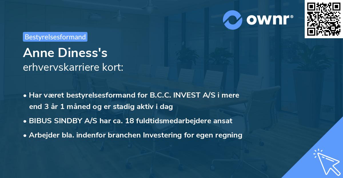 Anne Diness's erhvervskarriere kort