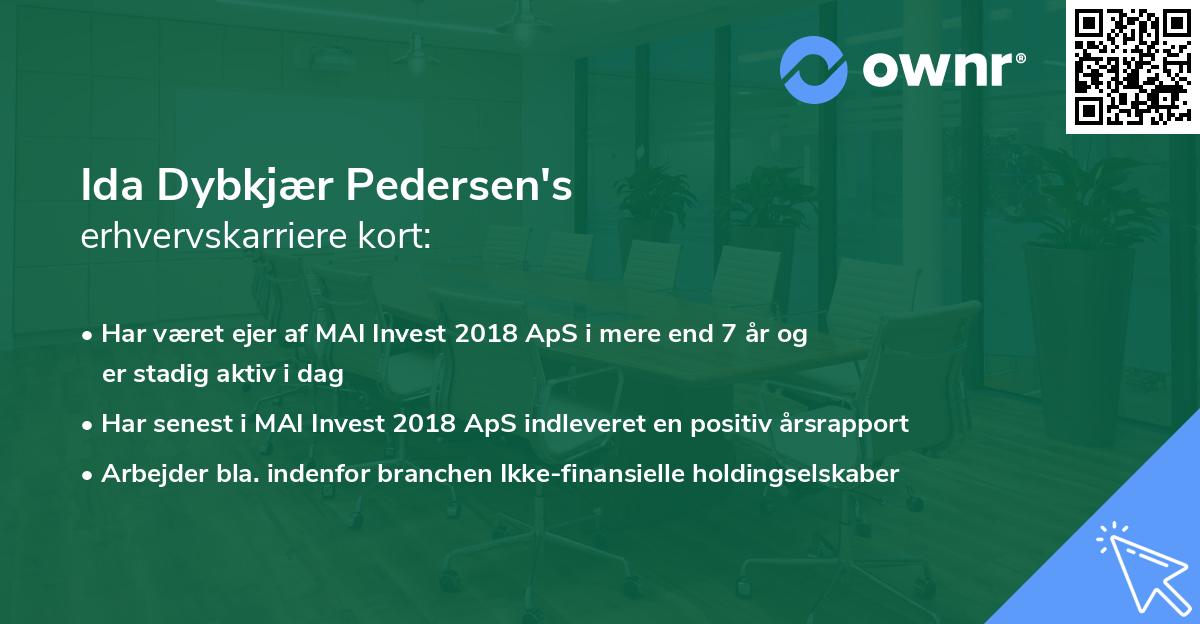 Ida Dybkjær Pedersen's erhvervskarriere kort