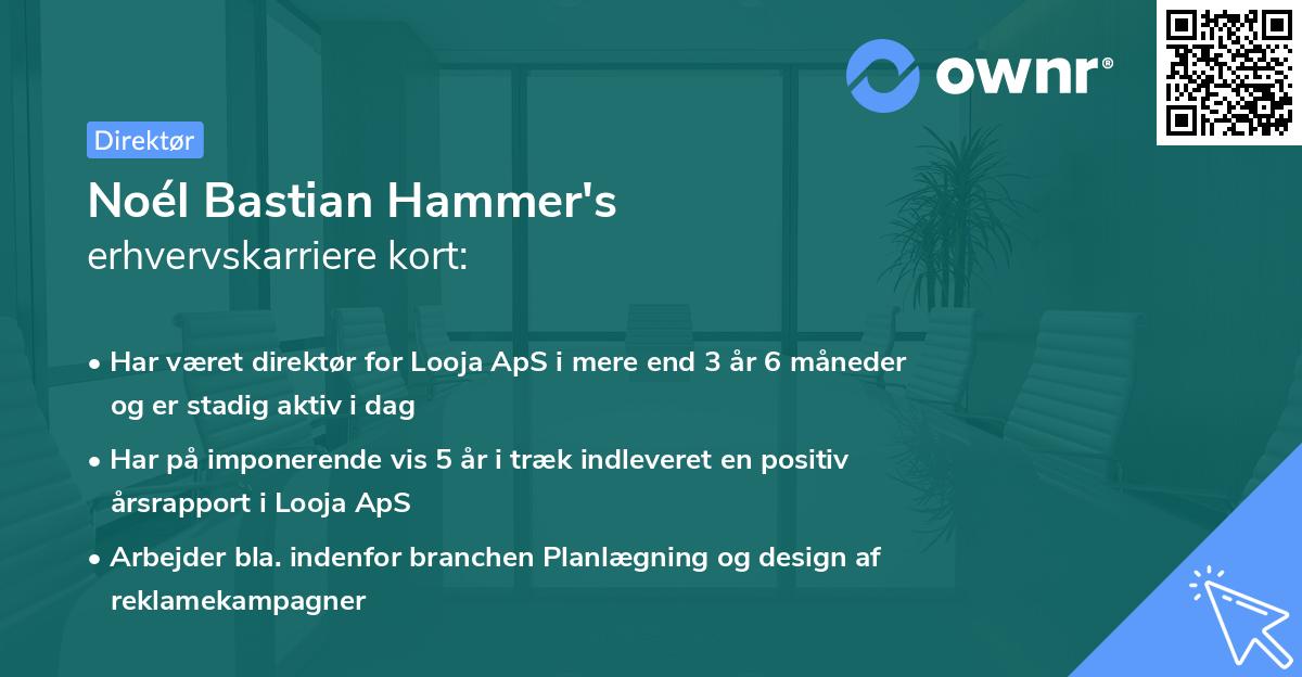Noél Bastian Hammer's erhvervskarriere kort