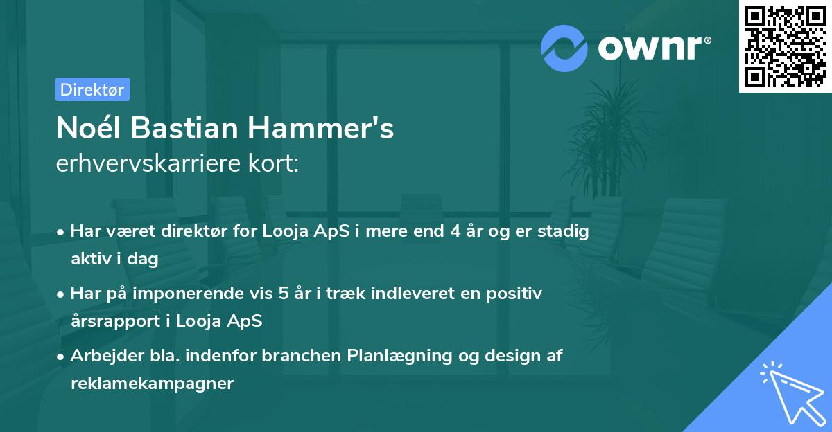 Noél Bastian Hammer's erhvervskarriere kort