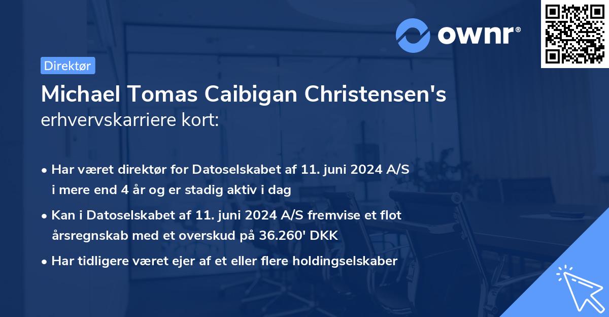 Michael Tomas Caibigan Christensen's erhvervskarriere kort