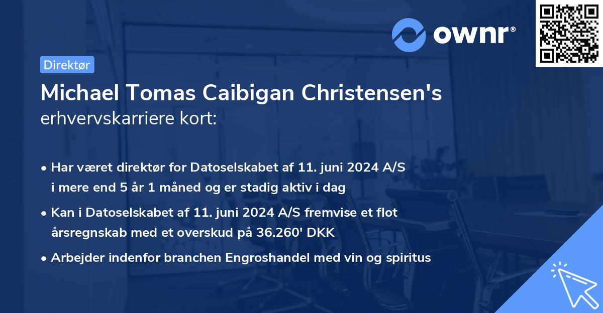 Michael Tomas Caibigan Christensen's erhvervskarriere kort