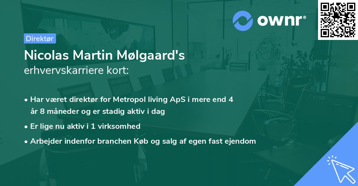 Nicolas Martin Mølgaard's erhvervskarriere kort