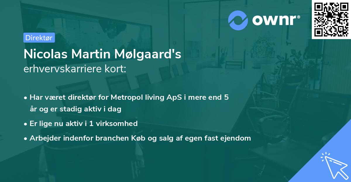 Nicolas Martin Mølgaard's erhvervskarriere kort