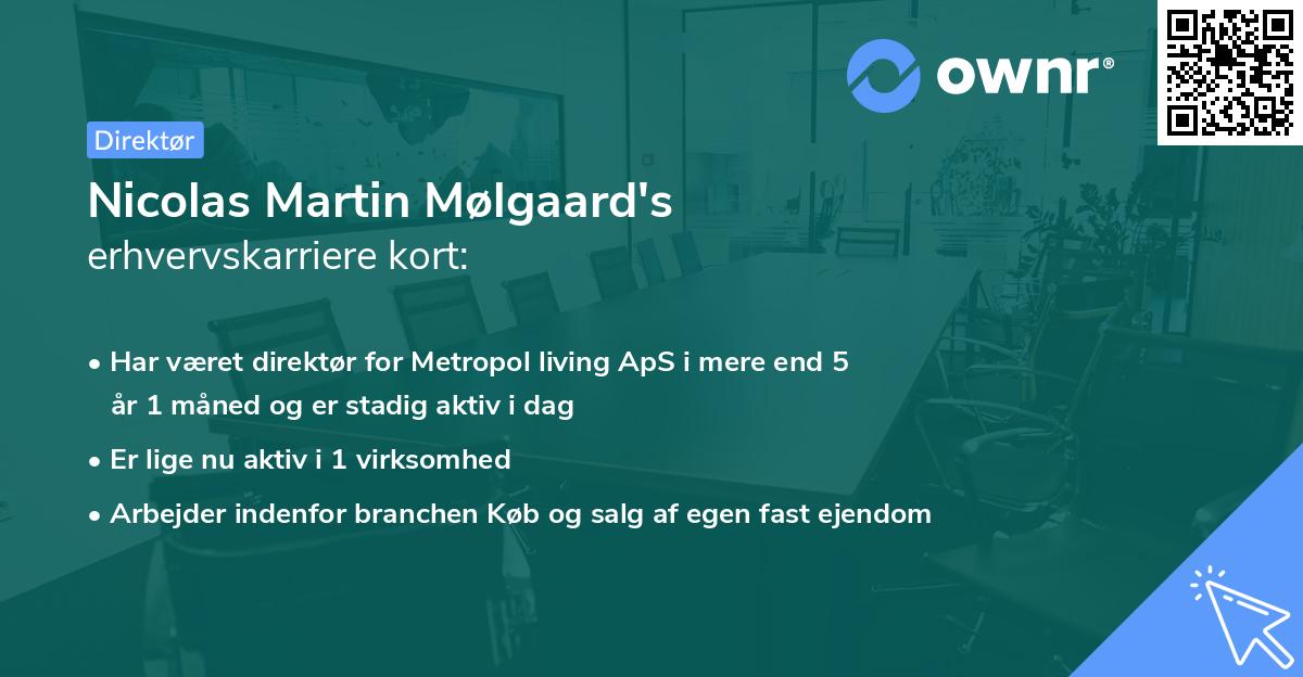 Nicolas Martin Mølgaard's erhvervskarriere kort