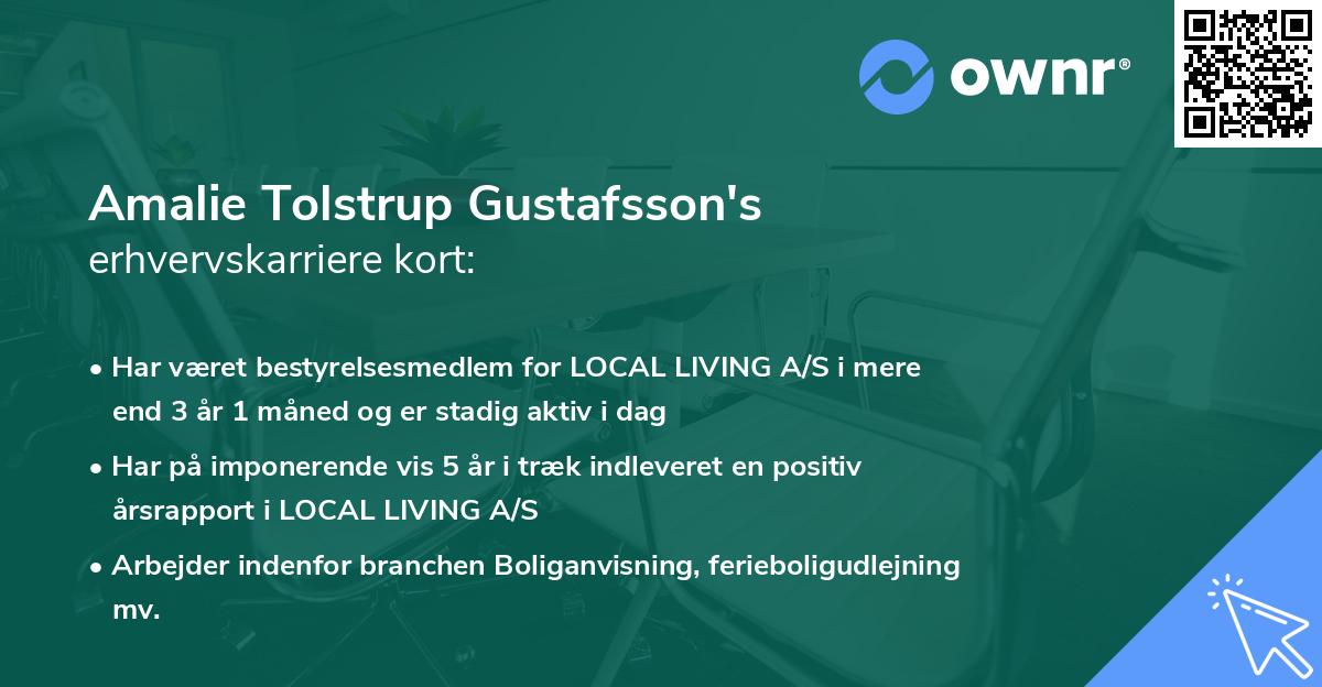Amalie Tolstrup Gustafsson's erhvervskarriere kort
