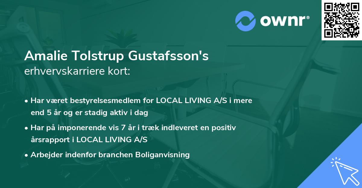 Amalie Tolstrup Gustafsson's erhvervskarriere kort