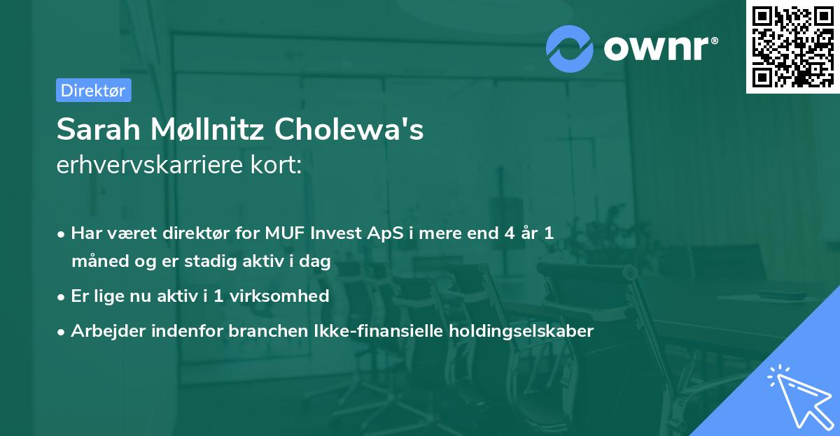 Sarah Møllnitz Cholewa's erhvervskarriere kort