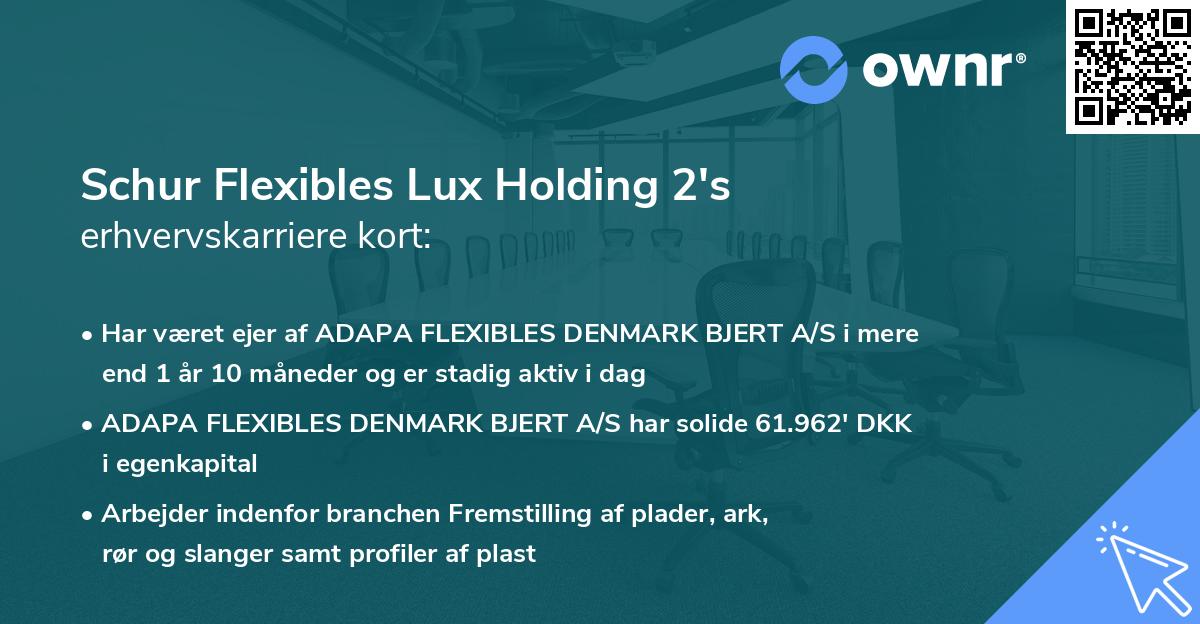 Schur Flexibles Lux Holding 2's erhvervskarriere kort