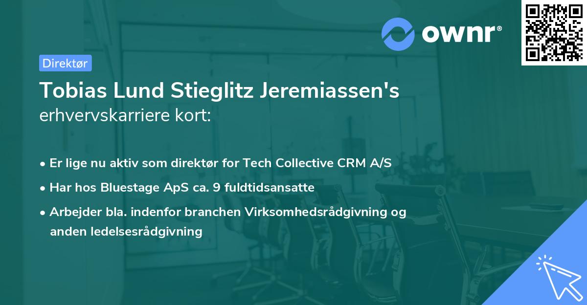 Tobias Lund Stieglitz Jeremiassen's erhvervskarriere kort