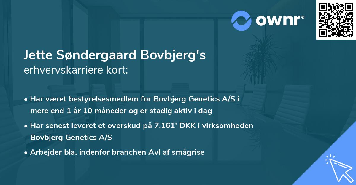 Jette Søndergaard Bovbjerg's erhvervskarriere kort
