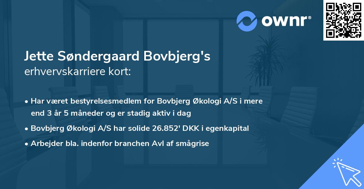 Jette Søndergaard Bovbjerg's erhvervskarriere kort