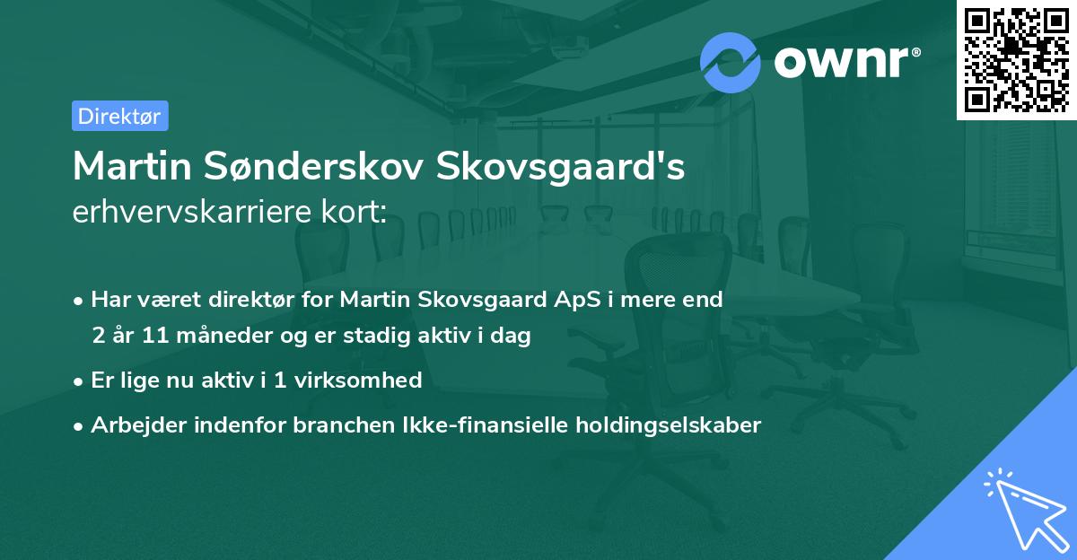 Martin Sønderskov Skovsgaard's erhvervskarriere kort