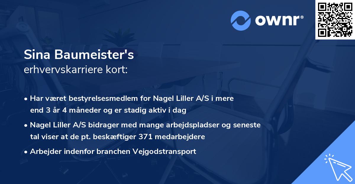 Sina Baumeister's erhvervskarriere kort