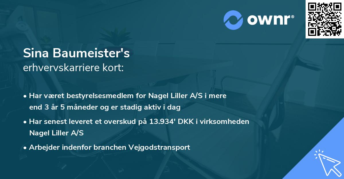 Sina Baumeister's erhvervskarriere kort