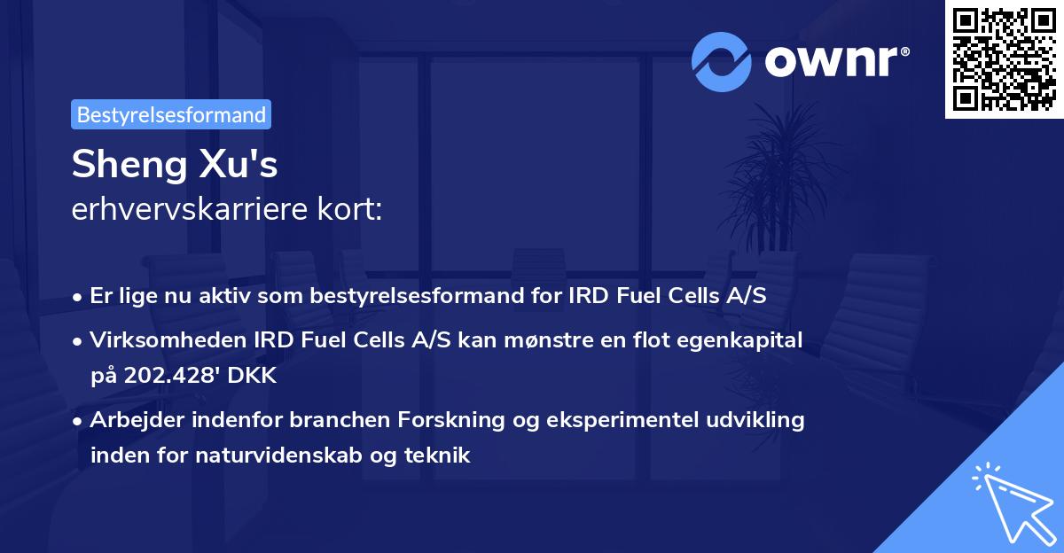 Sheng Xu's erhvervskarriere kort