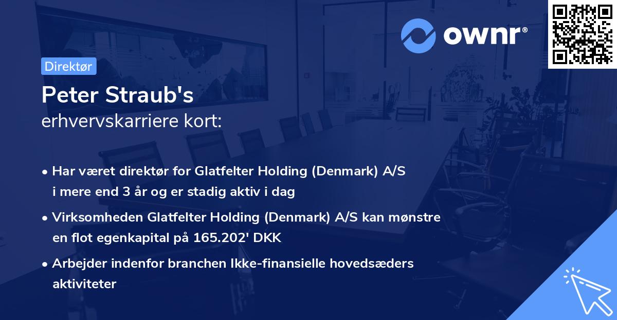 Peter Straub's erhvervskarriere kort