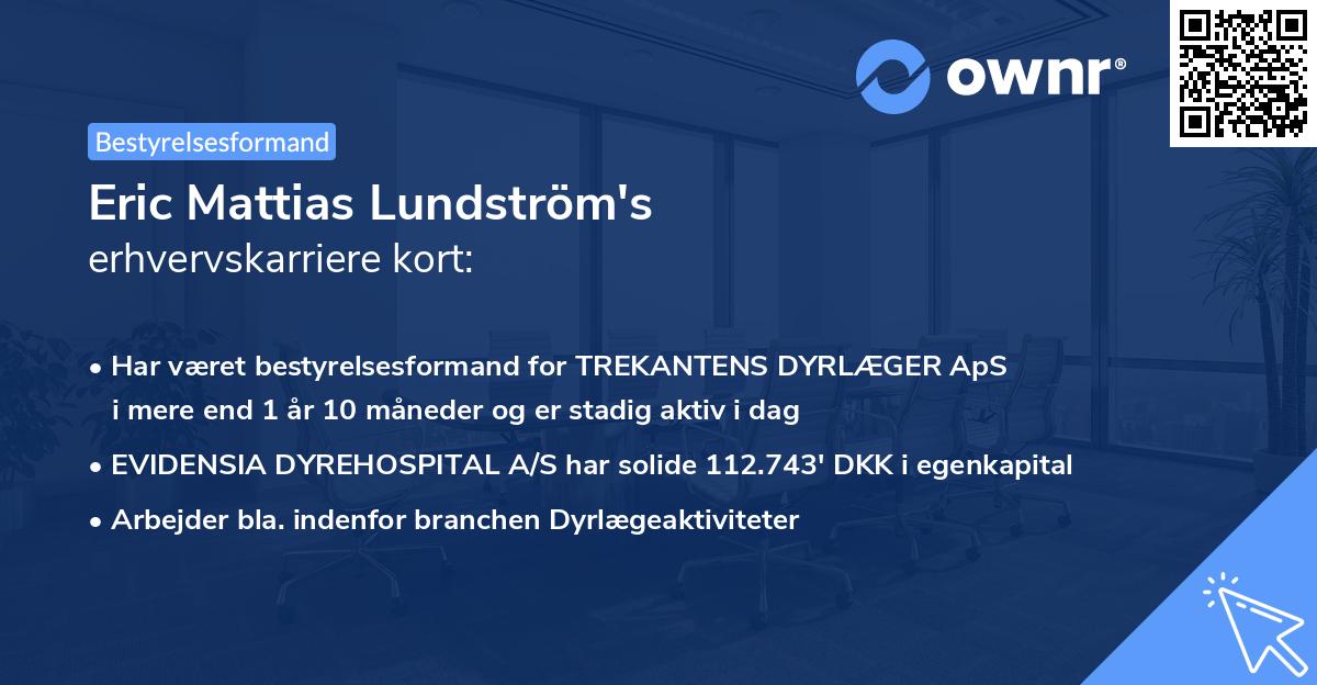 Eric Mattias Lundström's erhvervskarriere kort