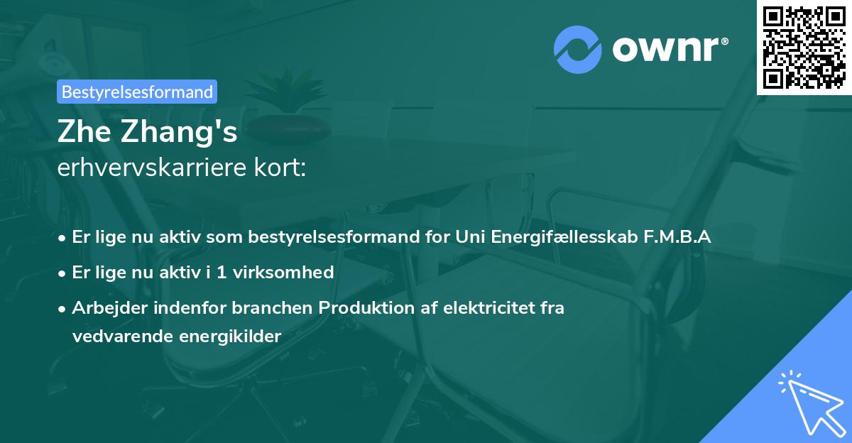 Zhe Zhang's erhvervskarriere kort