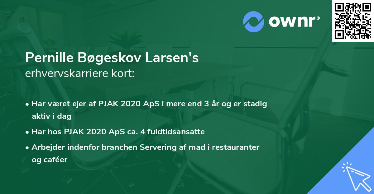 Pernille Bøgeskov Larsen's erhvervskarriere kort