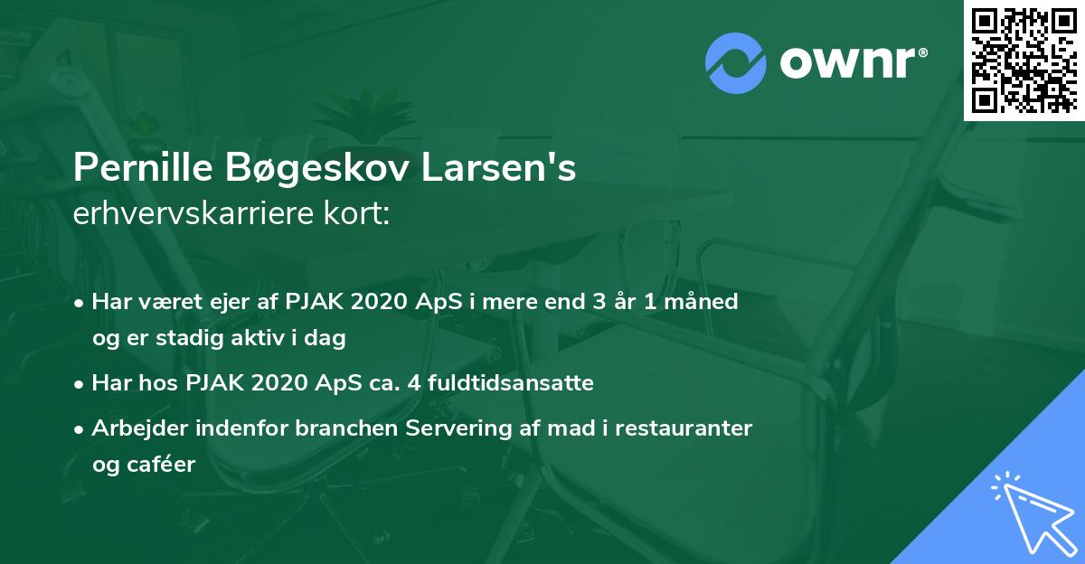 Pernille Bøgeskov Larsen's erhvervskarriere kort