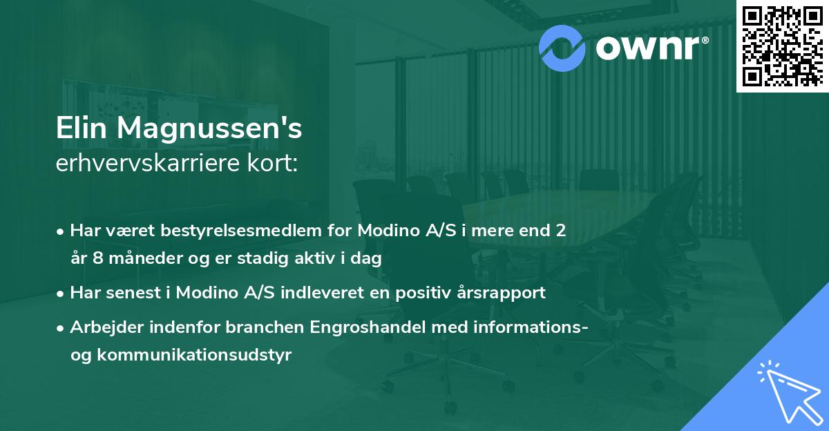 Elin Magnussen's erhvervskarriere kort