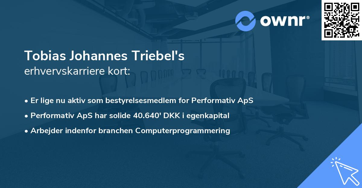 Tobias Johannes Triebel's erhvervskarriere kort