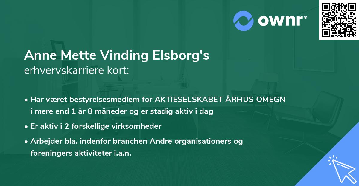 Anne Mette Vinding Elsborg's erhvervskarriere kort