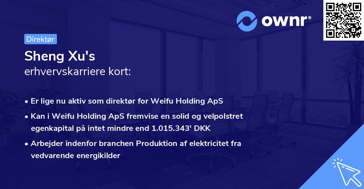 Sheng Xu's erhvervskarriere kort