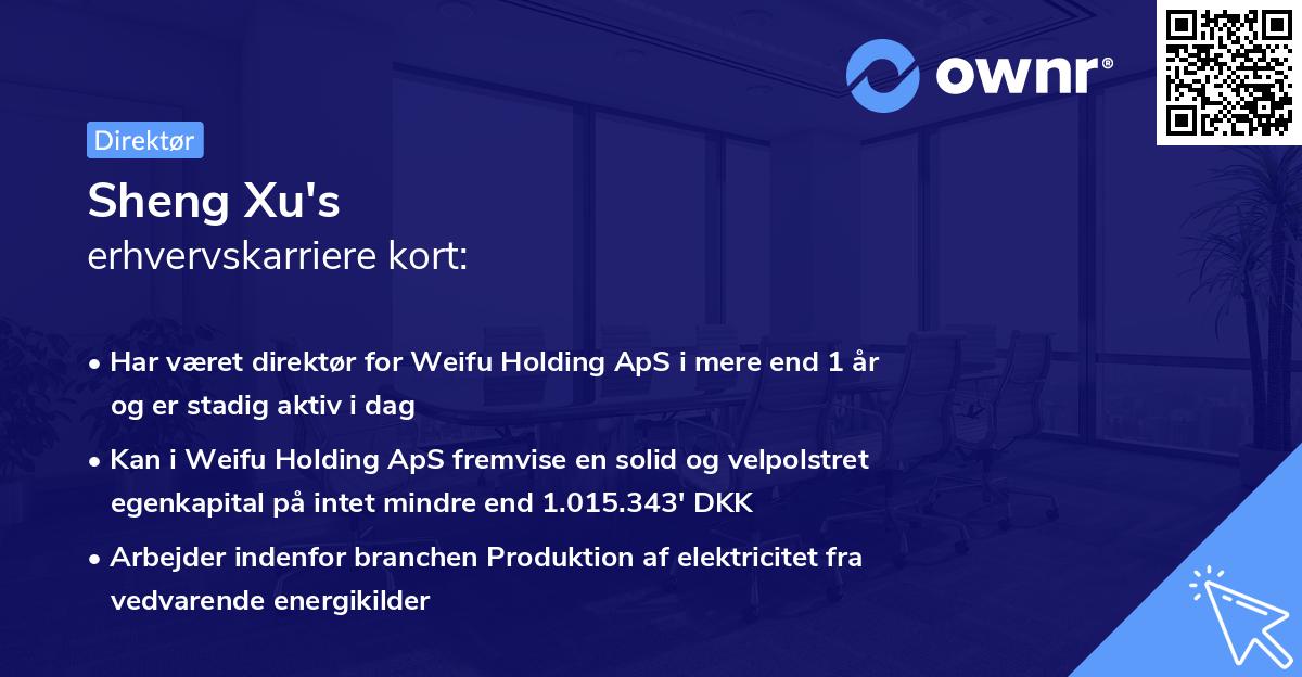 Sheng Xu's erhvervskarriere kort