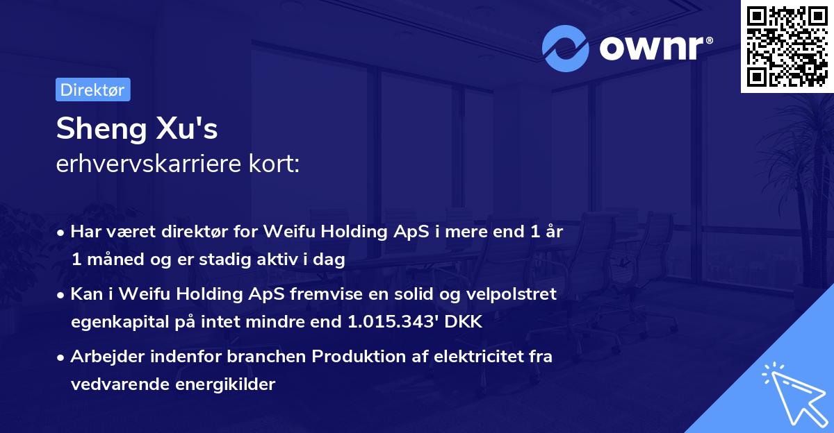 Sheng Xu's erhvervskarriere kort