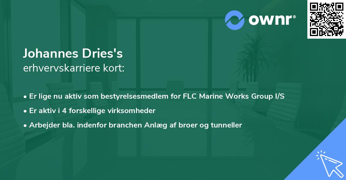 Johannes Dries's erhvervskarriere kort