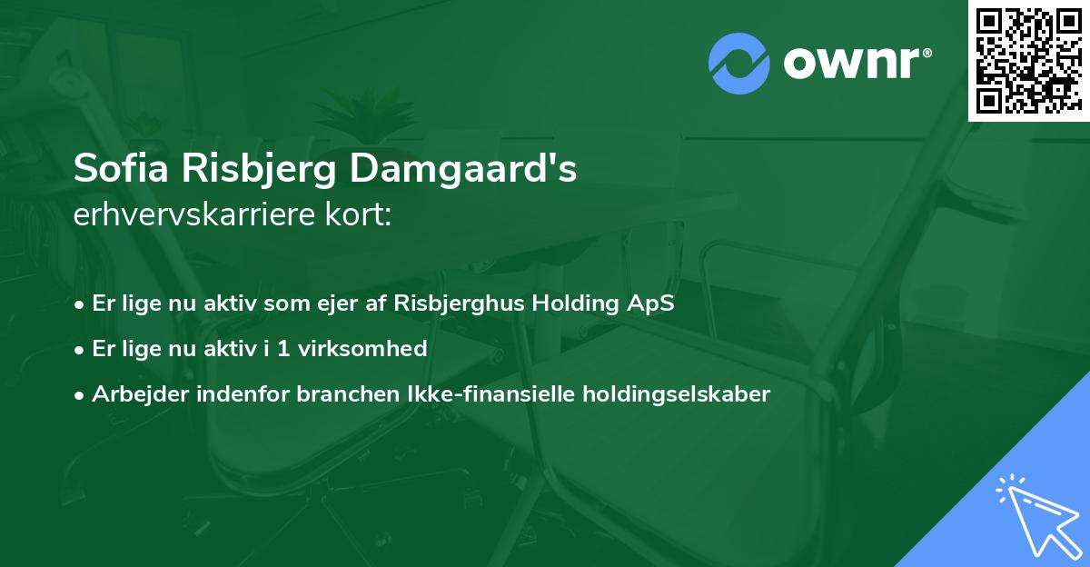 Sofia Risbjerg Damgaard's erhvervskarriere kort