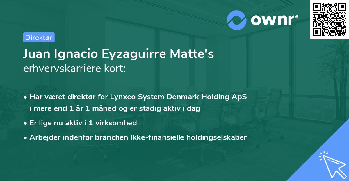 Juan Ignacio Eyzaguirre Matte's erhvervskarriere kort