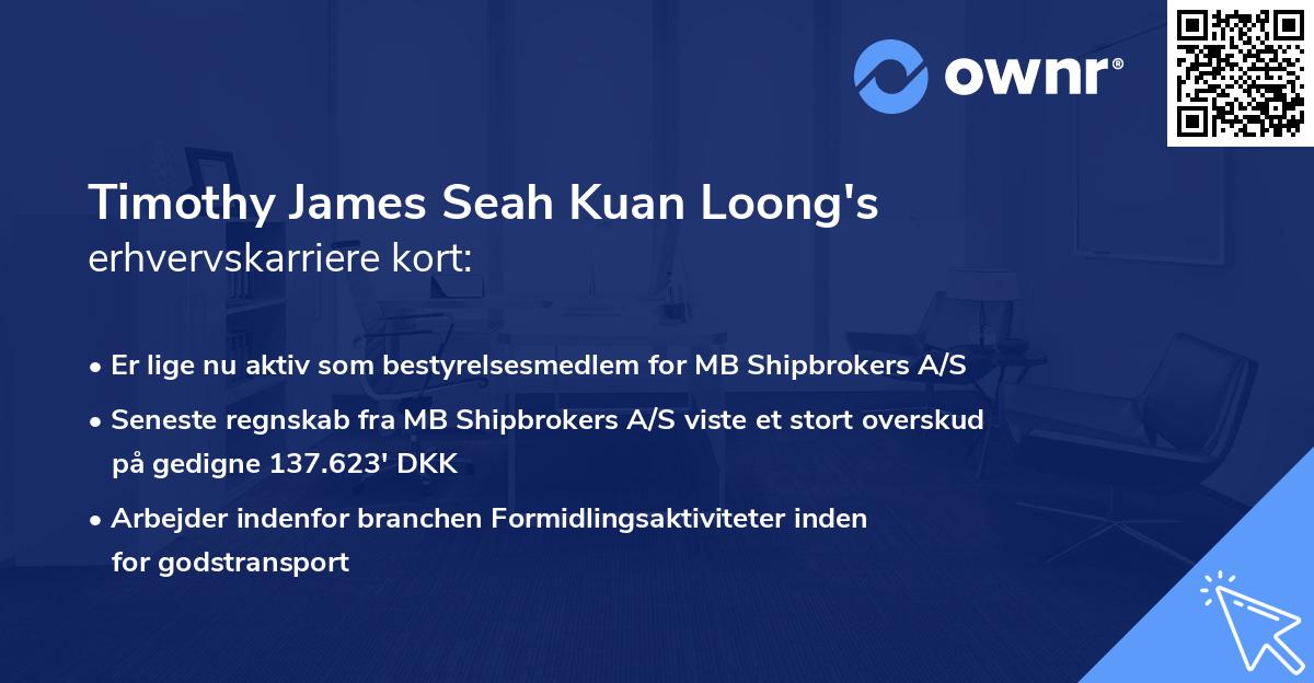 Timothy James Seah Kuan Loong's erhvervskarriere kort