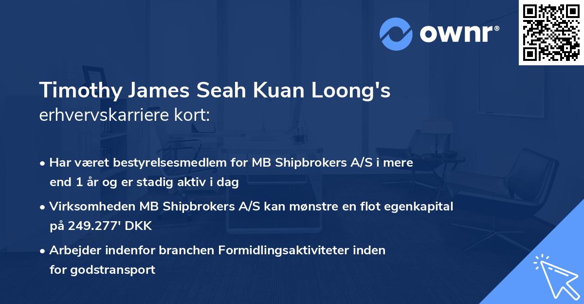 Timothy James Seah Kuan Loong's erhvervskarriere kort
