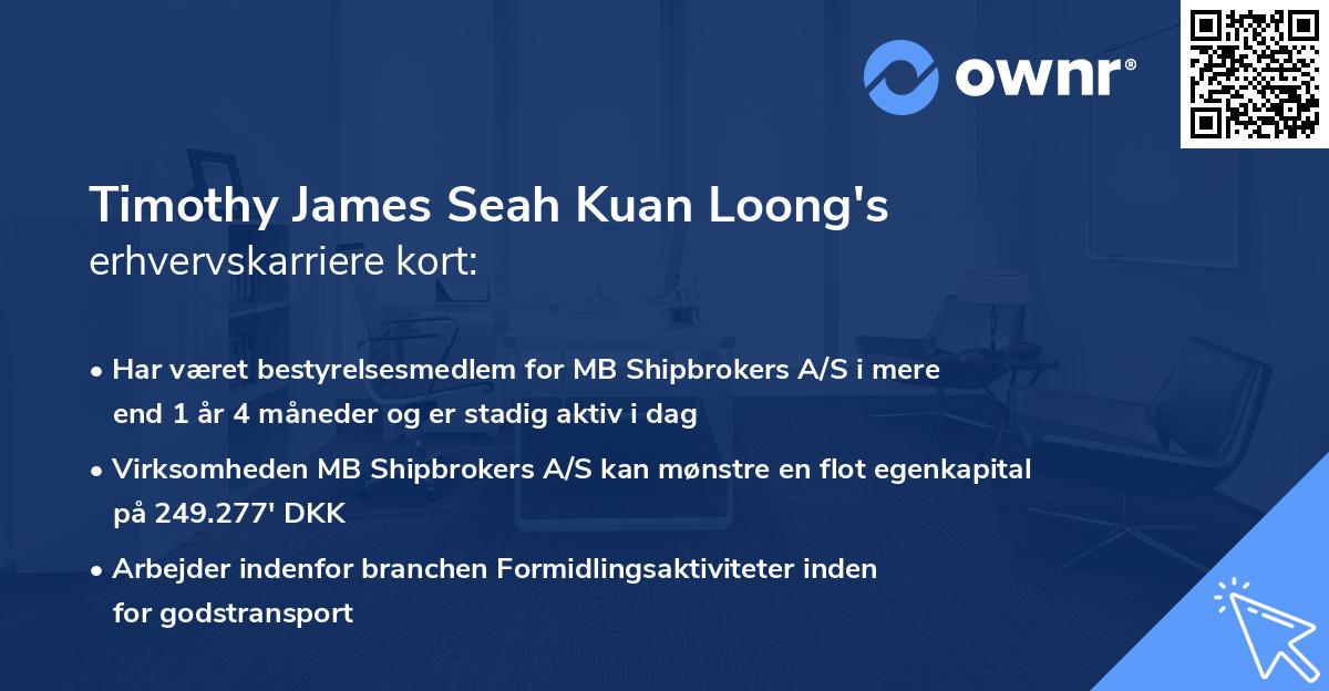 Timothy James Seah Kuan Loong's erhvervskarriere kort
