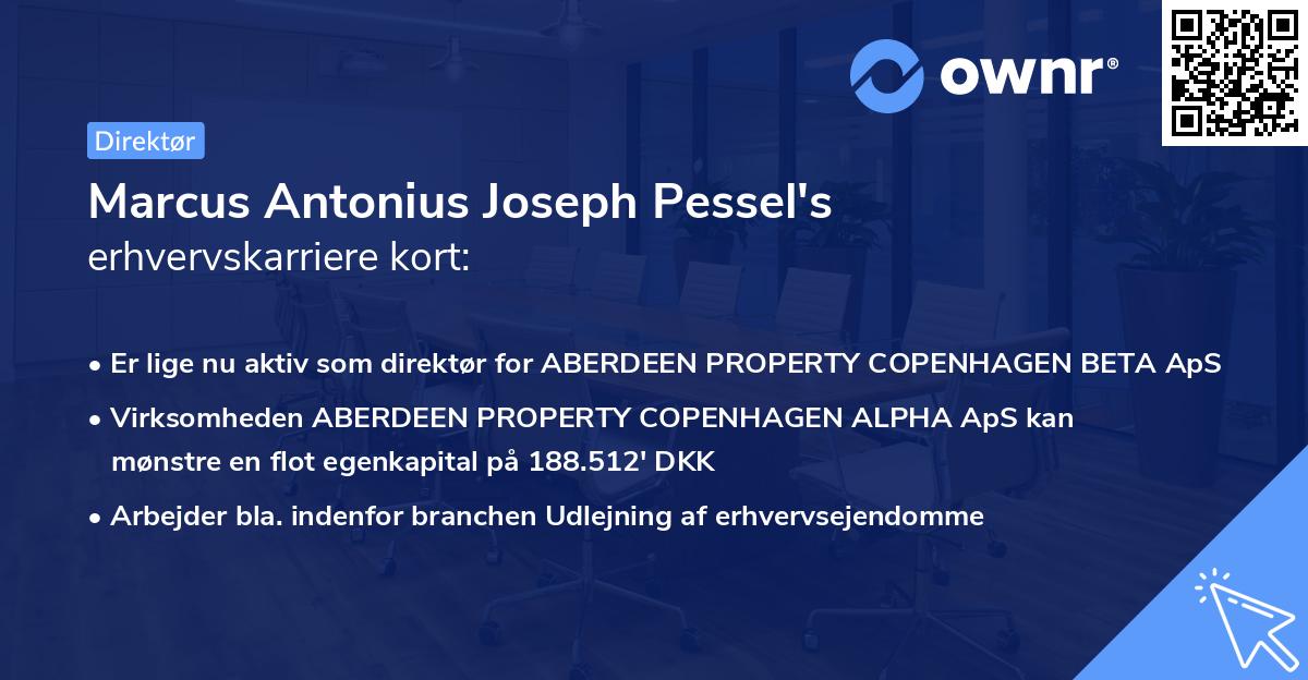 Marcus Antonius Joseph Pessel's erhvervskarriere kort