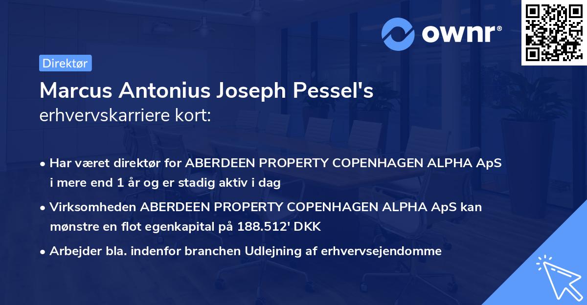Marcus Antonius Joseph Pessel's erhvervskarriere kort