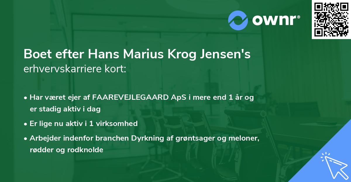 Boet efter Hans Marius Krog Jensen's erhvervskarriere kort