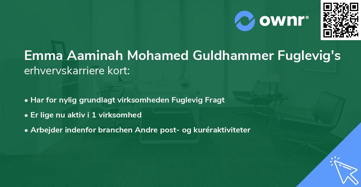Emma Aaminah Mohamed Guldhammer Fuglevig's erhvervskarriere kort