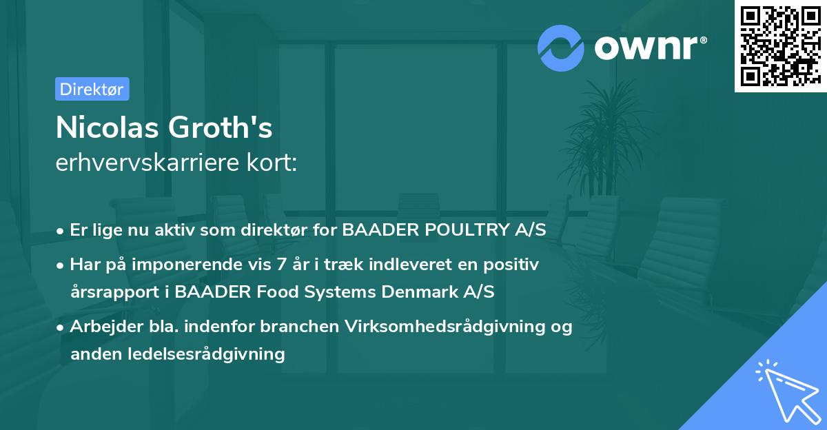 Nicolas Groth's erhvervskarriere kort