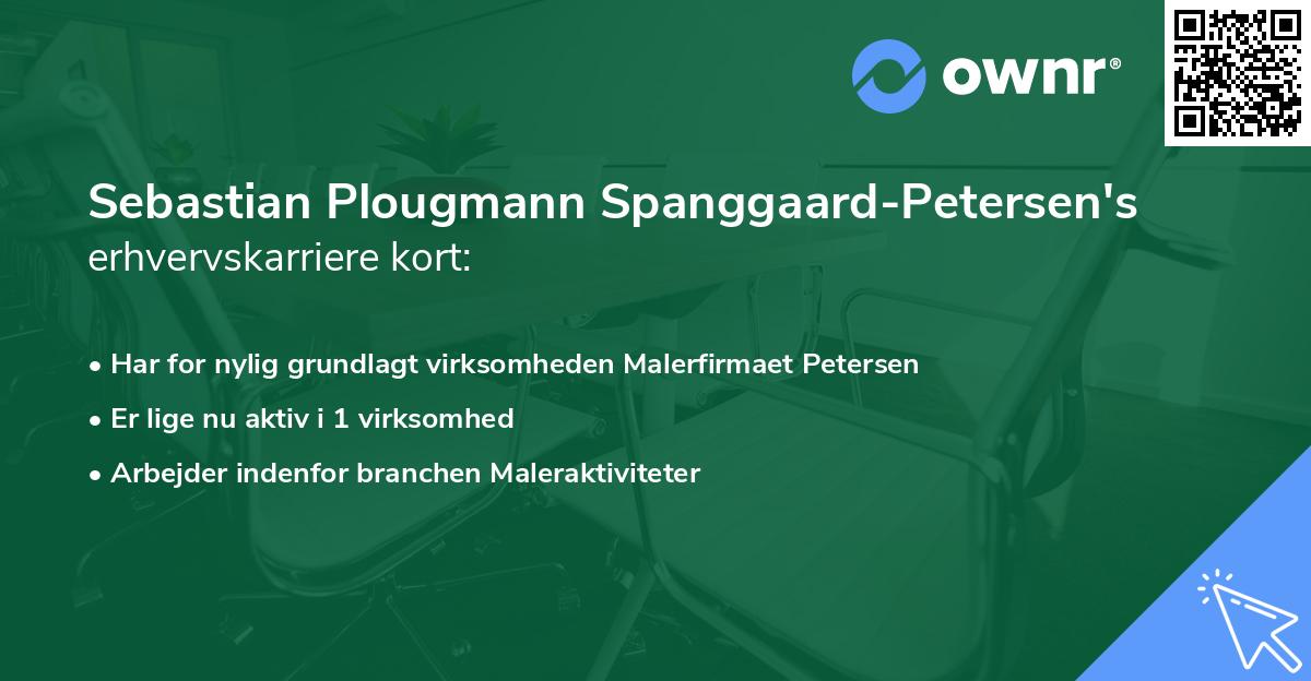 Sebastian Plougmann Spanggaard-Petersen's erhvervskarriere kort