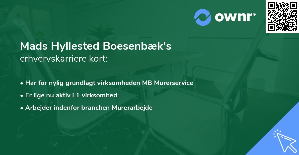 Mads Hyllested Boesenbæk's erhvervskarriere kort